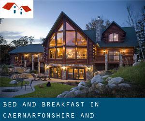 Bed and Breakfast in Caernarfonshire and Merionethshire